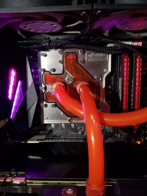 WhatsApp Image 2019-02-13 at 21.34.47.jpeg