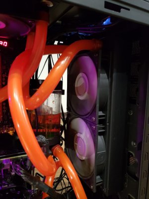 WhatsApp Image 2019-02-13 at 21.34.48.jpeg