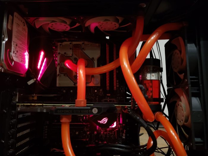 WhatsApp Image 2019-02-13 at 21.35.35.jpeg