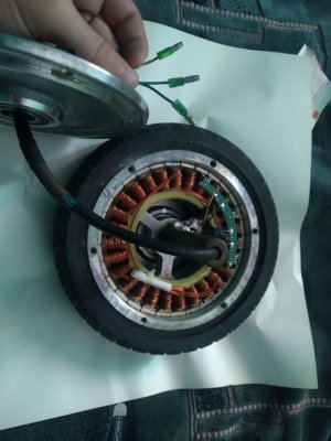 photo1631543613 (1).jpeg