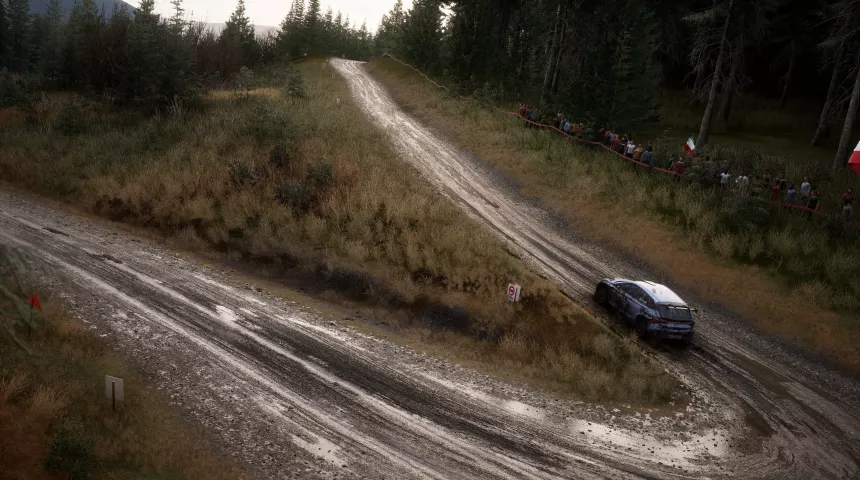 Assetto Corsa Rally — анонсный кадр